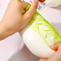Cabbage Squishy 🥬