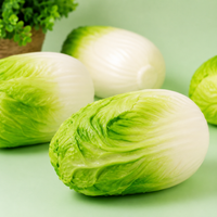 Cabbage Squishy 🥬